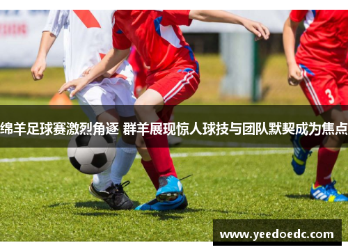 绵羊足球赛激烈角逐 群羊展现惊人球技与团队默契成为焦点