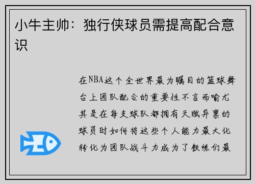 小牛主帅：独行侠球员需提高配合意识